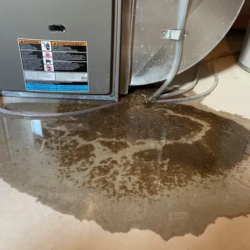 Appliance Leak Cleanup in Oak Grove, MO